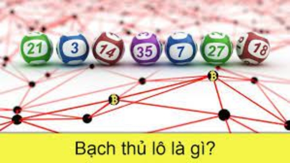 Bạch thủ lô vip